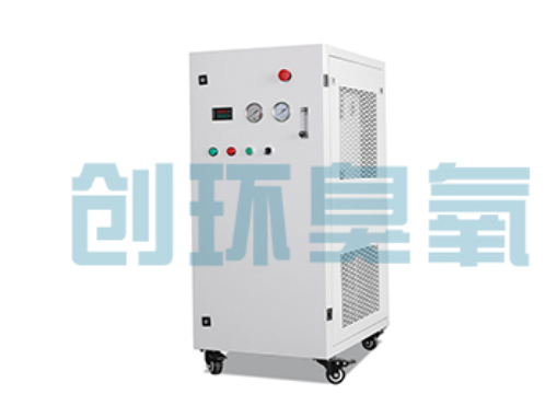 丰宁石斑鱼养殖水质调控完整指南:臭氧发生器配置与操作步骤