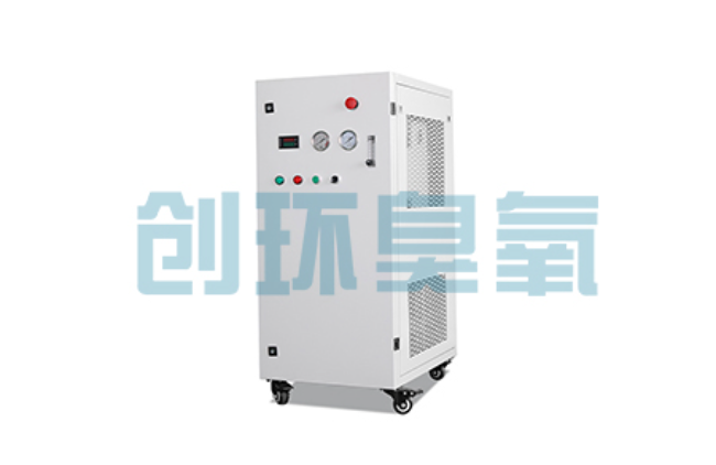 丰宁比传统换水更高效?臭氧发生器在石斑鱼养殖中的水质净化原理解析